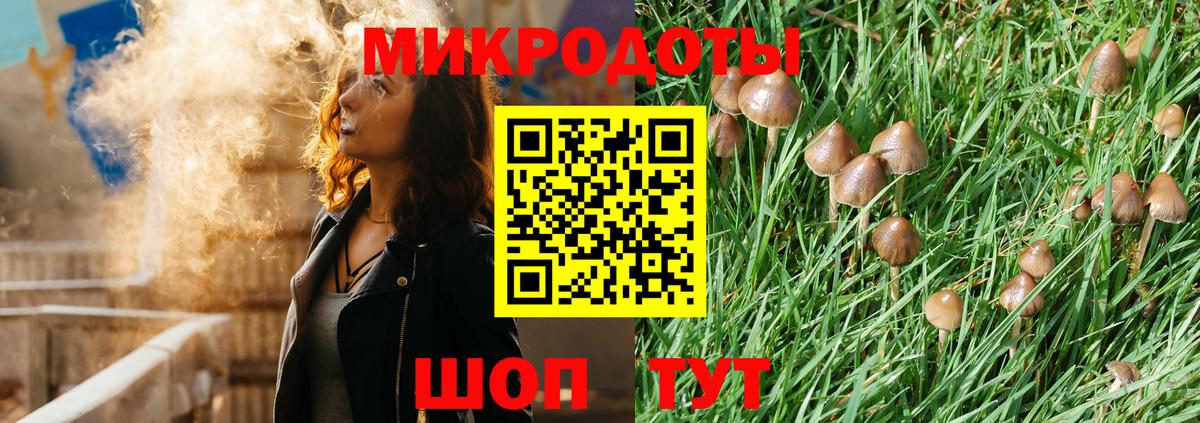 Псилоцибиновые грибы Cubensis Мариинск
