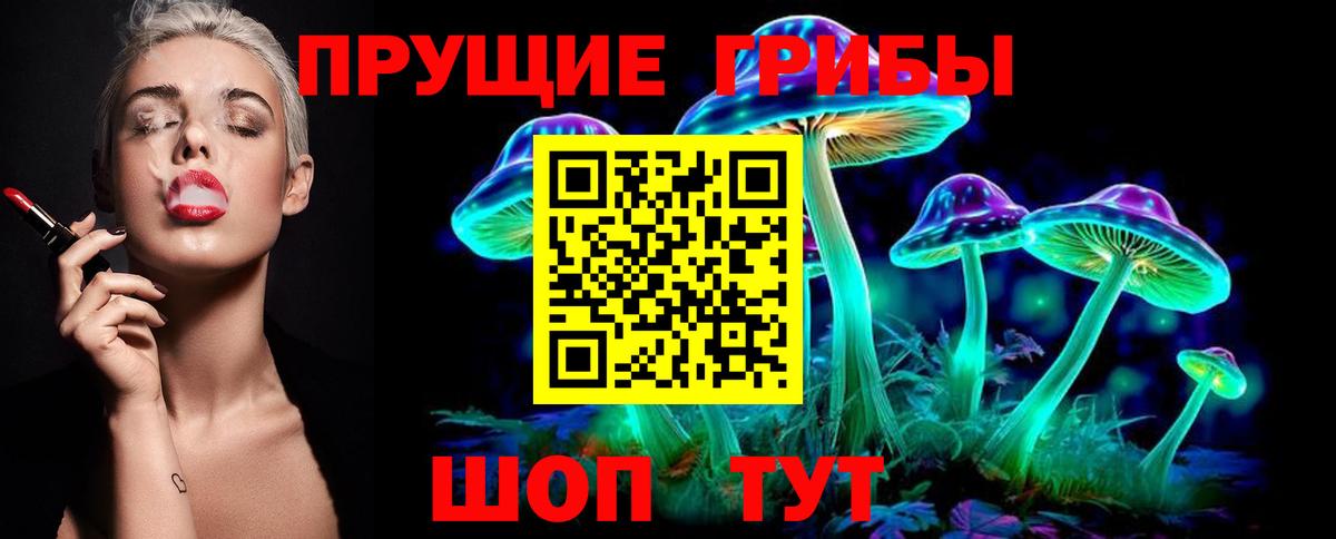 Галлюциногенные грибы прущие грибы  Вход с VPN  Мариинск  Псилоцибиновые грибы Psilocybe 